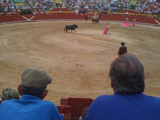 autenticos aficionados a las corridas (de toros).jpg